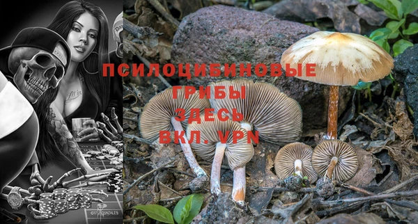 стафф Коряжма