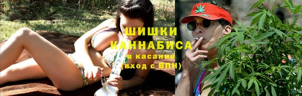 трава Козельск
