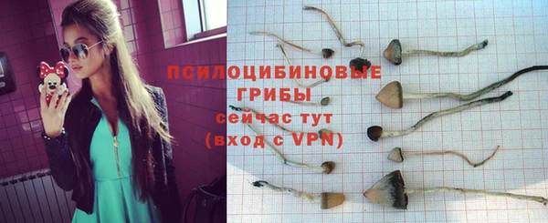 крисы Козловка