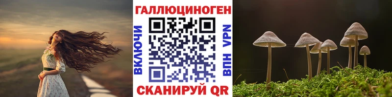 Галлюциногенные грибы GOLDEN TEACHER  купить наркотик  Конаково 
