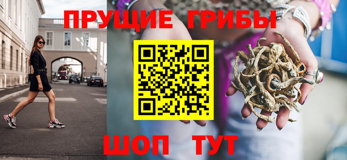 Конаково  Псилоцибиновые грибы прущие грибы  где продают   Вход с VPN 