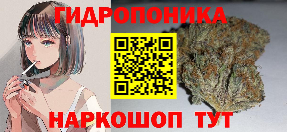 Конаково  Бошки марихуана Bruce Banner  Бошки марихуана White Widow  Вход с VPN  Марихуана план  МАРИХУАНА конопля 